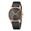 Calvin Klein 43mm Nam K2G2G6C3
