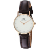 Đồng Hồ Daniel Wellington 26mm Nữ DW00100061