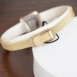 Daniel Wellington 15.4x18.2mm Nữ DW00100653