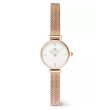 Daniel Wellington 19mm Nữ DW00100744