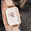 Daniel Wellington 20x26mm Nữ DW00100578