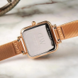  Daniel Wellington 22x22mm Nữ DW00100518