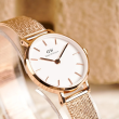 Daniel Wellington 24mm Nữ DW00100447