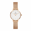 Daniel Wellington 24mm Nữ DW00100529