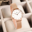 Daniel Wellington 28mm Nữ DW00100219