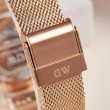 Daniel Wellington 32mm Nữ DW00100161