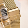 Daniel Wellington 36mm Nữ DW00100346