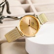 Daniel Wellington 32mm Nữ DW00100474