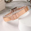 Daniel Wellington 22x22mm Nữ DW00100517