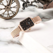 Daniel Wellington 20x26mm Nữ DW00100432