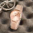 Daniel Wellington 28mm Nữ DW00100470