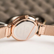 Daniel Wellington 28mm Nữ DW00100470