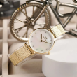 Daniel Wellington 28mm Nữ DW00100594