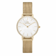 Daniel Wellington 28mm Nữ DW00100662