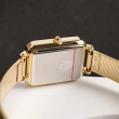 Daniel Wellington 20x26mm Nữ DW00100583