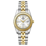 Đồng Hồ Carnival Nữ 8131L-CV-T