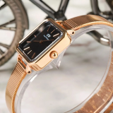 Đồng Hồ Daniel Wellington 22x22mm Nữ DW00100518
