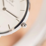 Đồng Hồ Daniel Wellington 24mm Nữ DW00100442
