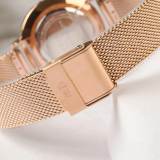 Đồng Hồ Daniel Wellington 28mm Nữ DW00100528
