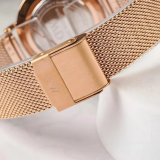 Đồng Hồ Daniel Wellington 32mm Nữ DW00100471
