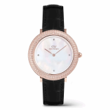 Đồng Hồ Daniel Wellington 32mm Nữ DW00100827