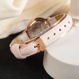 Đồng Hồ Daniel Wellington 28mm Nữ DW00100511