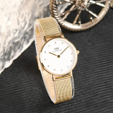 Đồng Hồ Daniel Wellington 28mm Nữ DW00100604
