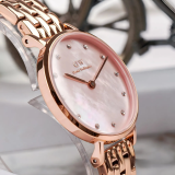Đồng Hồ Daniel Wellington 28mm Nữ DW00100617