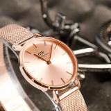 Đồng Hồ Daniel Wellington 28mm Nữ DW00100470