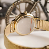 Đồng Hồ Daniel Wellington 28mm Nữ DW00100594