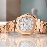 Đồng Hồ Carnival 34 mm Nữ 8160L-VH-TT