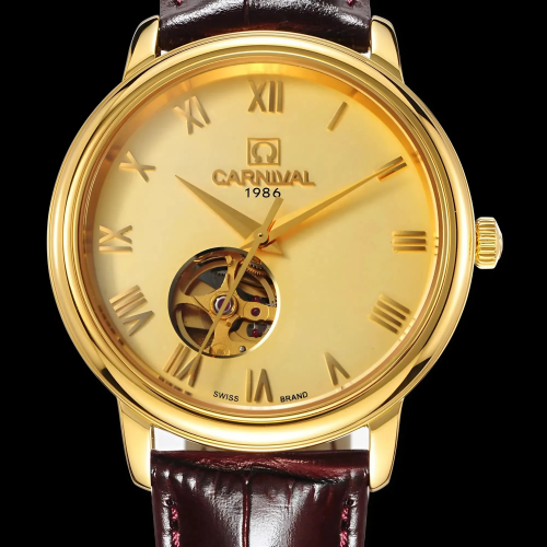 Carnival Nam 50801G-VV-DD-V