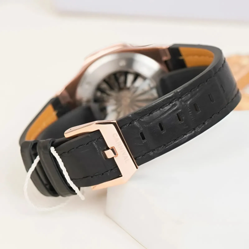 Đồng Hồ Carnival Nam 8108G1-VH-DD-D
