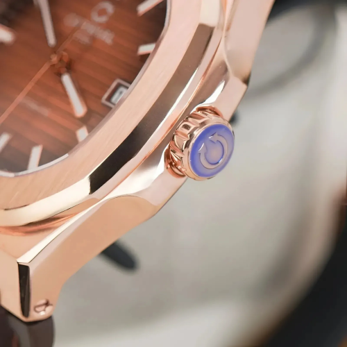 Đồng Hồ Carnival Nam 8108G1-VH-DD-N