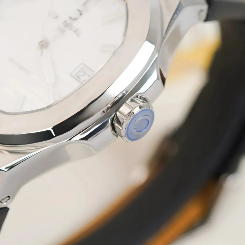 Đồng Hồ Carnival Nam 8108G1-VT-DD-T