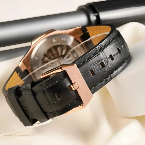 Đồng Hồ Carnival Nam 8110G-VH-DD-XDT