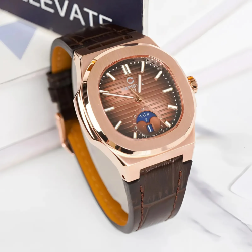 Đồng Hồ Carnival Nam 8110G1-VH-DD-N