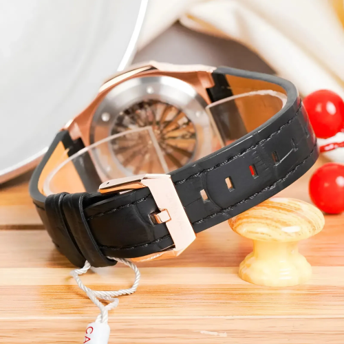 Đồng Hồ Carnival Nam 8110G1-VH-DD-T