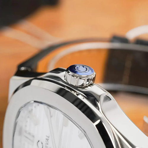 Đồng Hồ Carnival Nam 8110G1-VT-DD-T