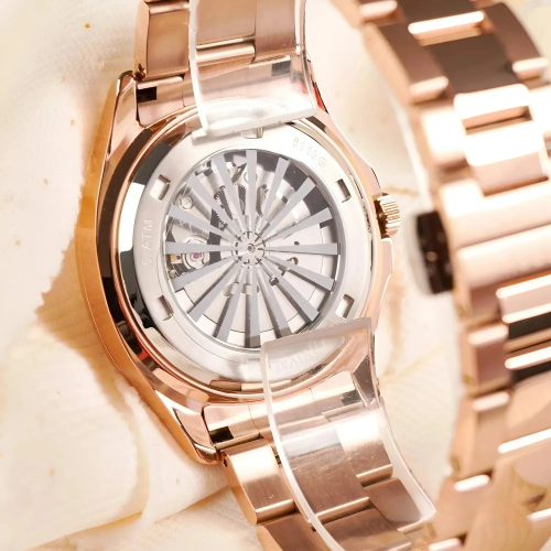 Đồng Hồ Carnival Nam 8113G-VH-X