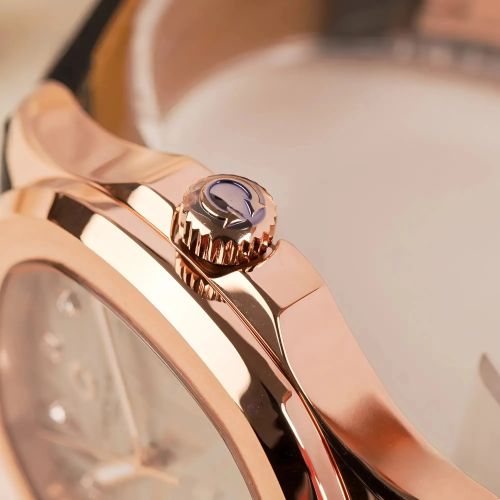 Đồng Hồ Carnival Nam 8115G-VH-DD-N 