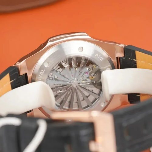 Đồng Hồ Carnival Nam 8158G-VH-DD-D