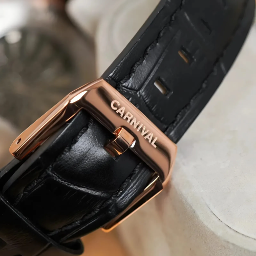 Đồng Hồ Carnival Nam 8160G-VH-DD-D