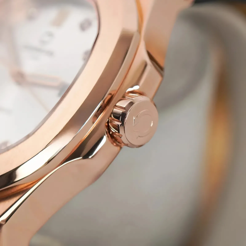 Đồng Hồ Carnival Nam 8160G-VH-DD-T