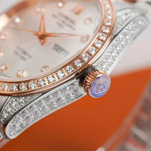 Đồng Hồ Carnival Nam 8907G-CH-T