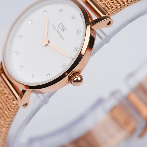 Đồng Hồ Daniel Wellington 24mm Nữ DW00100529