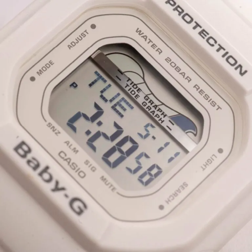 Đồng Hồ Casio Nữ BLX-560-7DR