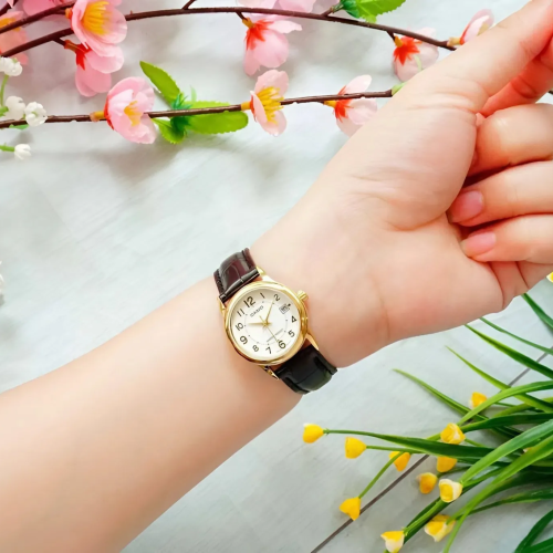 Đồng Hồ Casio 25mm Nữ LTP-V002GL-7BUDF