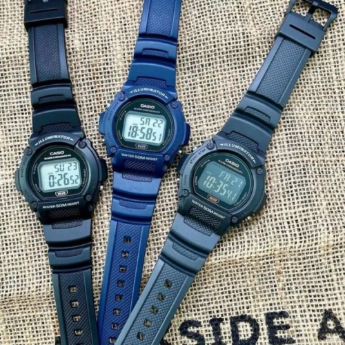 Đồng Hồ Casio 47mm Nam W-219H-2AVDF