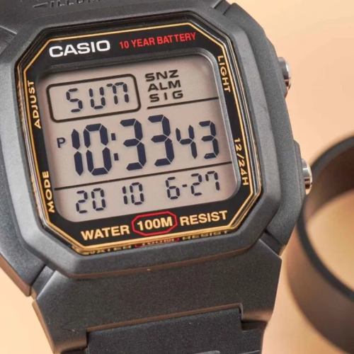 Đồng Hồ Casio 44.2 x 36.8 mm Nam W-800HG-9AVDF